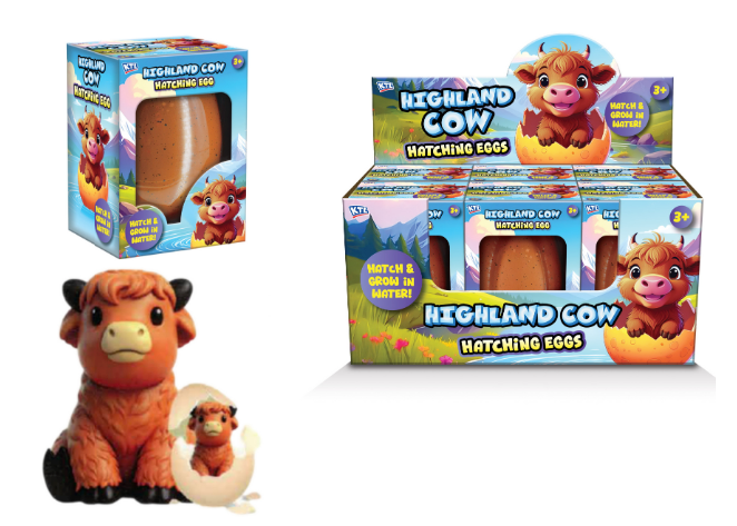 Large Growing Highland Cow
