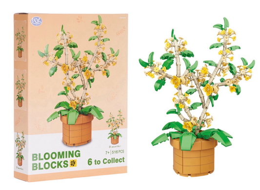 XL BLOOMING BLOCKS 6 ASST
