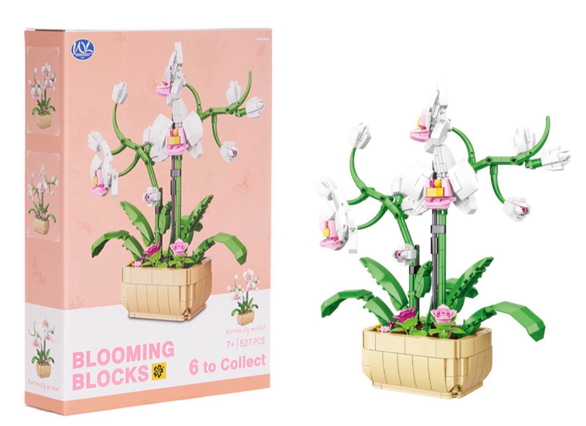 XL BLOOMING BLOCKS 6 ASST