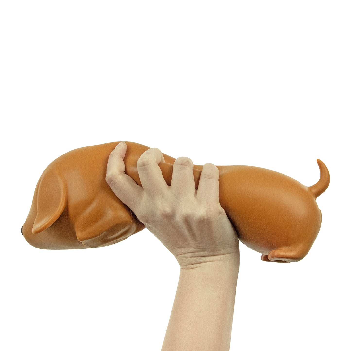 The Big Squij Dachshund Slow-Rise Squishy Toy