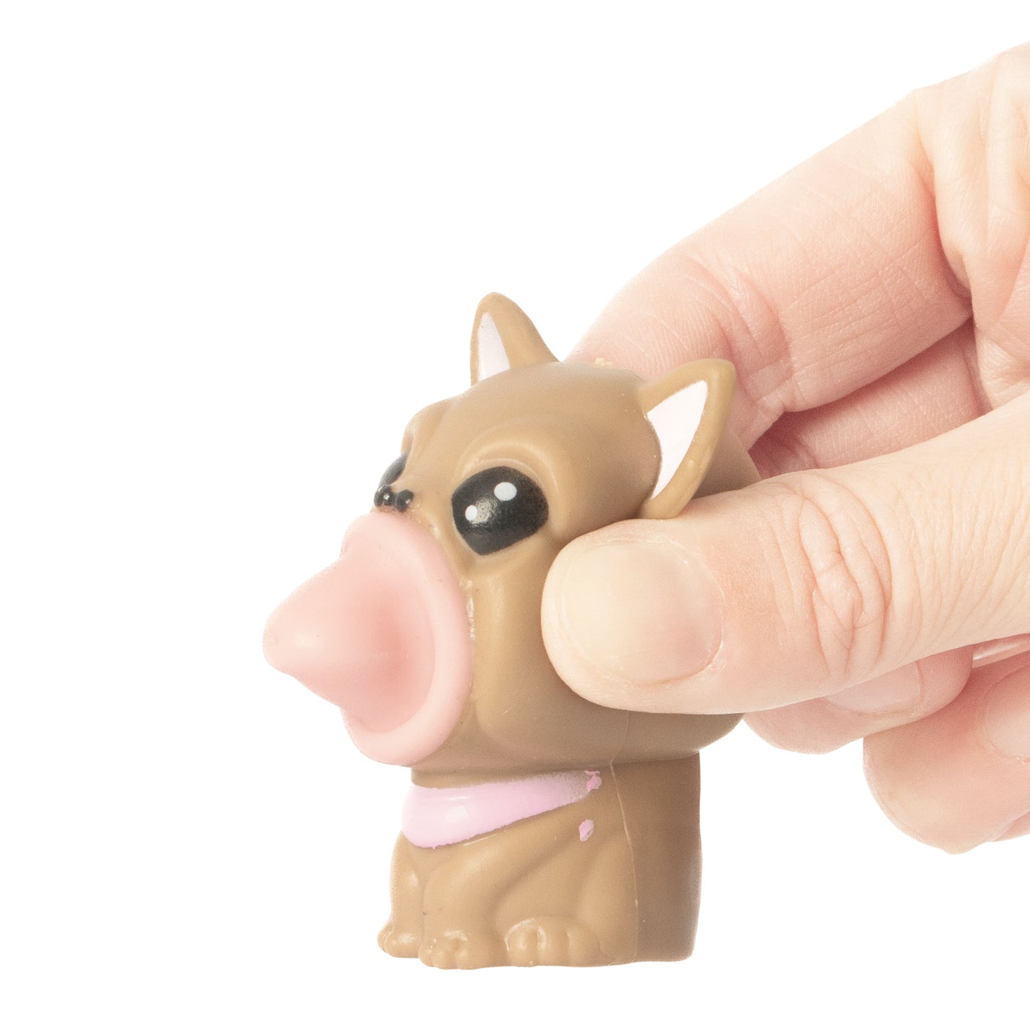 Pop Pup Sensory Toy