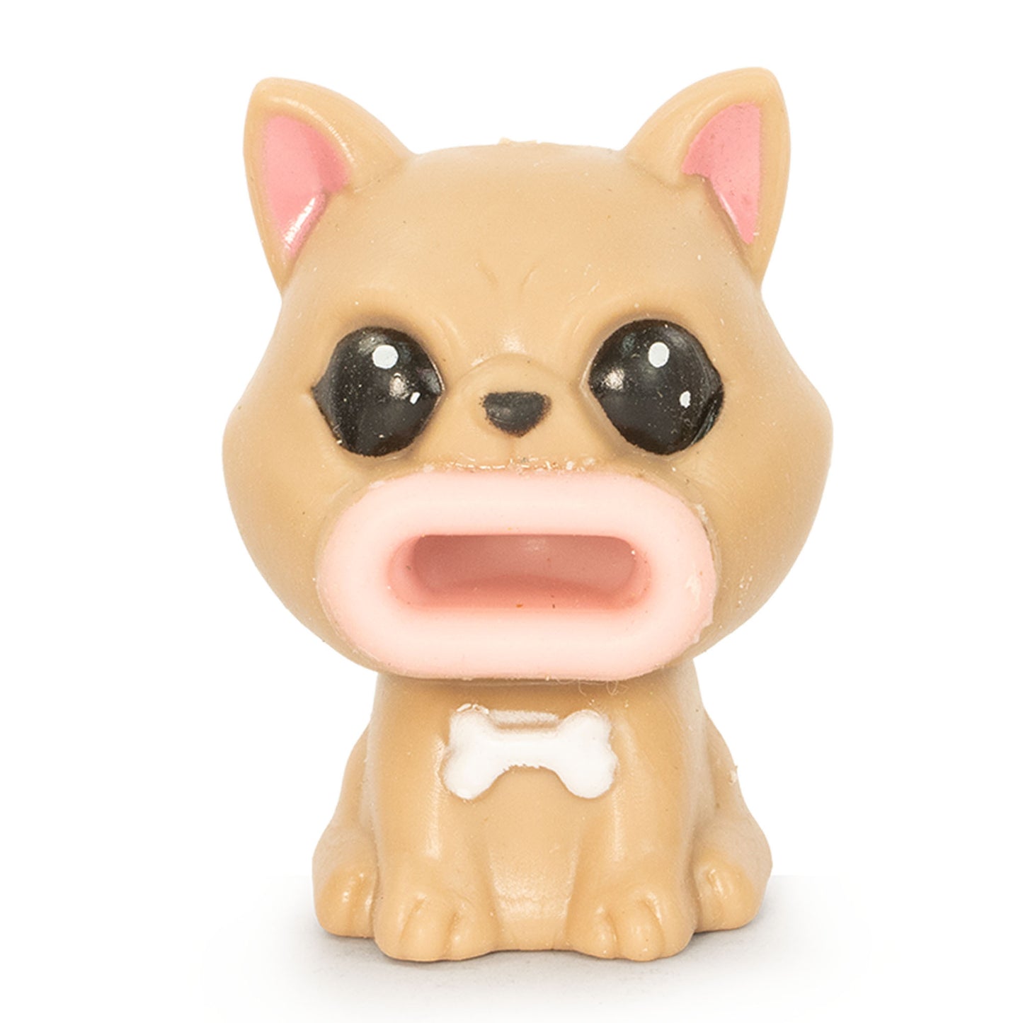 Pop Pup Sensory Toy