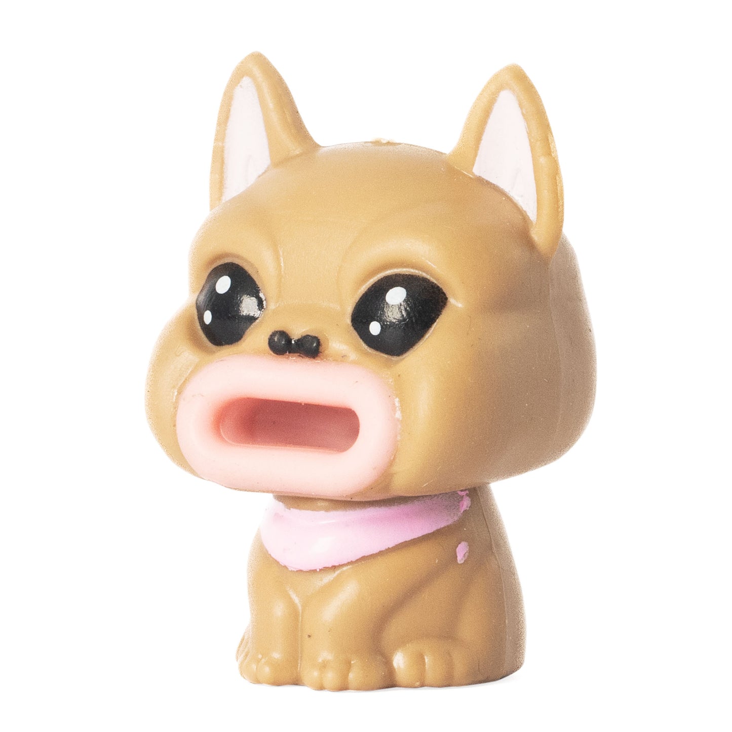 Pop Pup Sensory Toy