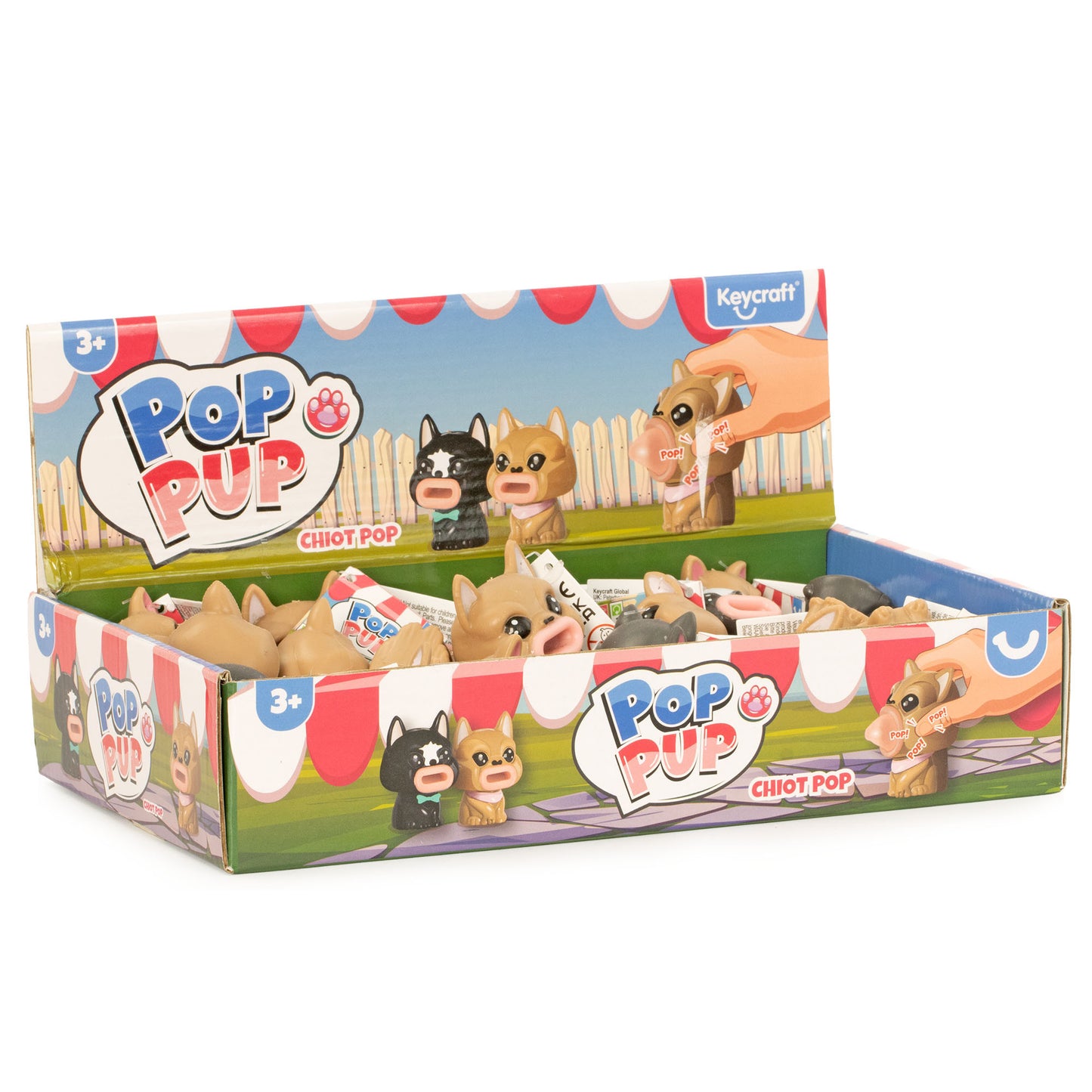 Pop Pup Sensory Toy