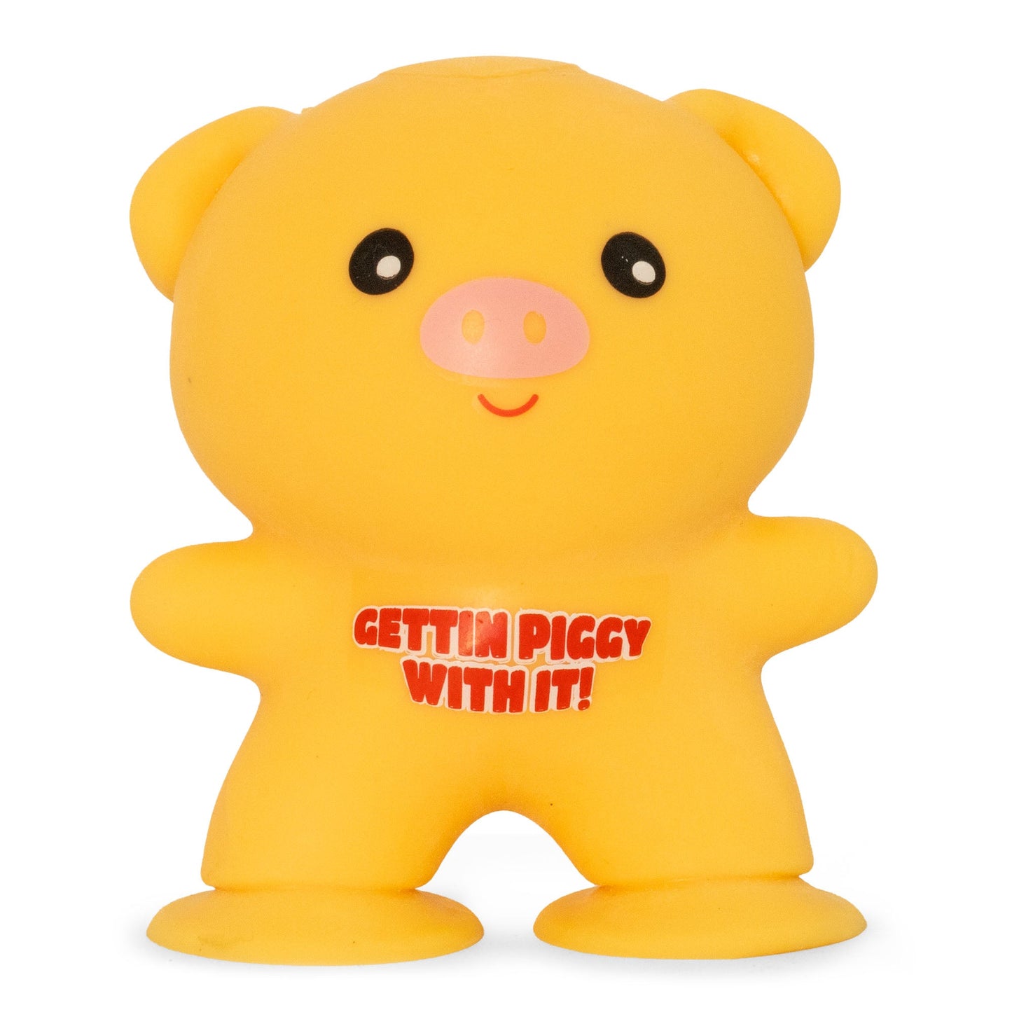 Stuck Pig Sensory Toy