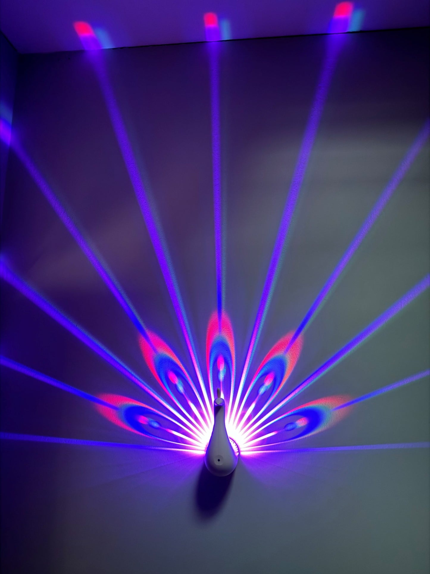 Peacock Projector
