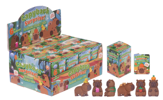 8CM CAPYBARA BLIND BOX 6 ASST (DB)