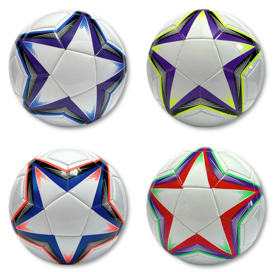 SIZE 5 FOOTBALL EURO STAR MATT
