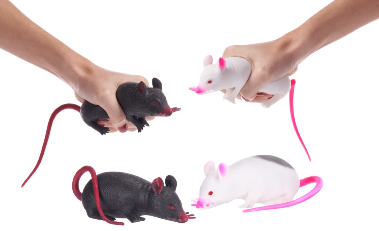 5CM SQUISHY/STRETCHY RAT 2 ASST
