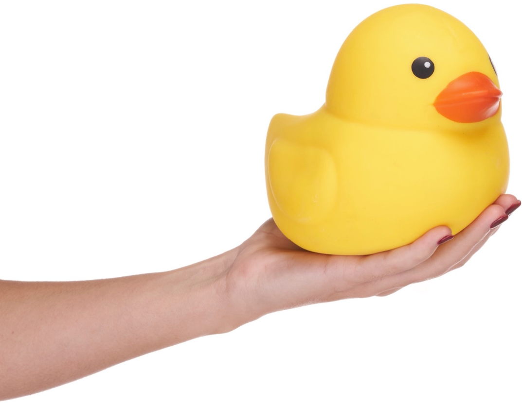 16CM SQUISHY DUCK 2 ASST (DB)