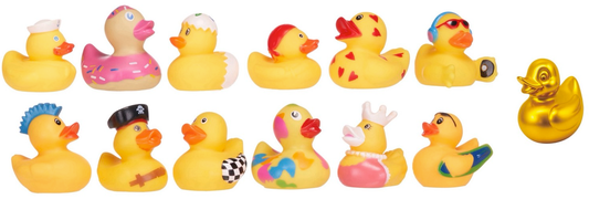QUACK PACK 5.5CM BLIND BOX DUCK 12 +1 ASST (DB