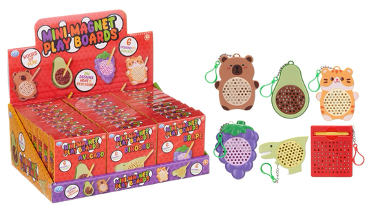 MINI MAGNET PLAY BOARD 6 ASST (DB)