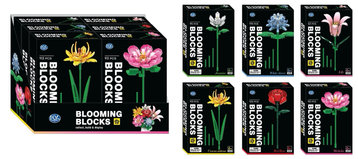 BLOOMING BLOCKS 6 ASST (DB)