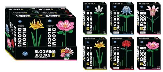 BLOOMING BLOCKS 6 ASST (DB)