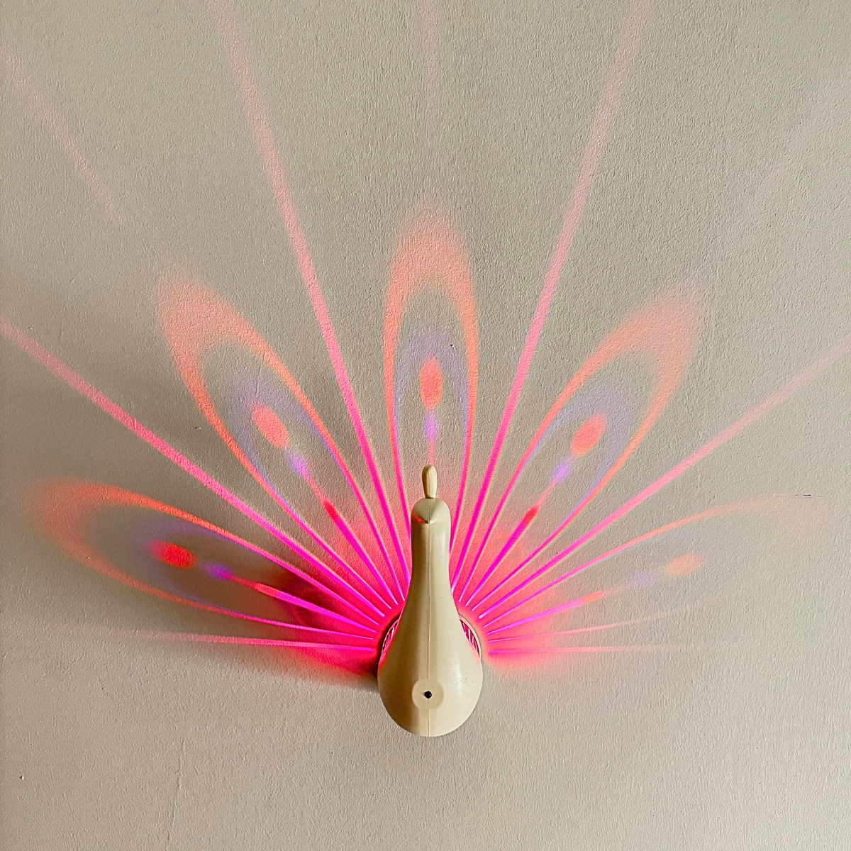Peacock Projector
